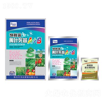 �S�~����A+B-�����