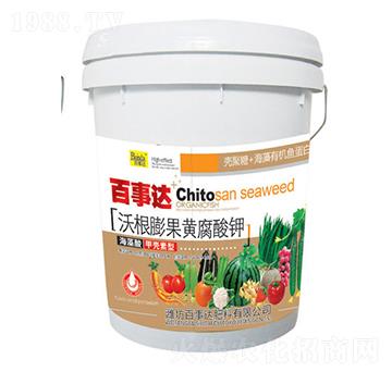 �ָ�����S�����-����