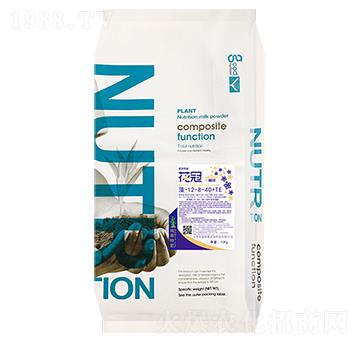 ����ͺ����ط�12-8-40+TE--���ڡ���-��(y��u)�˃�(y��u)ζ