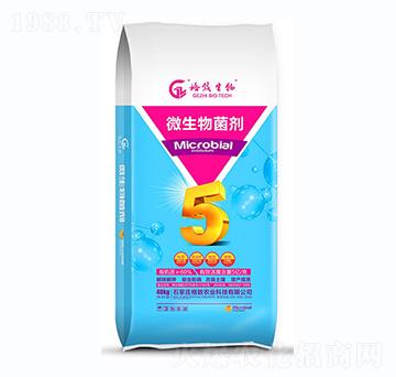 ΢�������-�����r(n��ng)�I(y��)