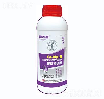 �������}�V��ƿ��-������