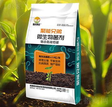 ΢�������-�����ֵ�-�(y��ng)��ڳ�