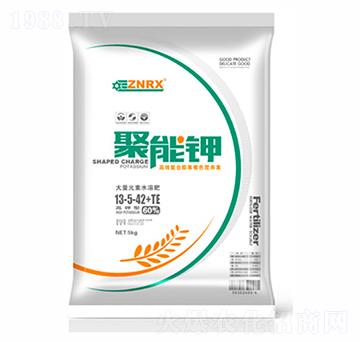 �����13-5-42+TE-�A�r(n��ng)����