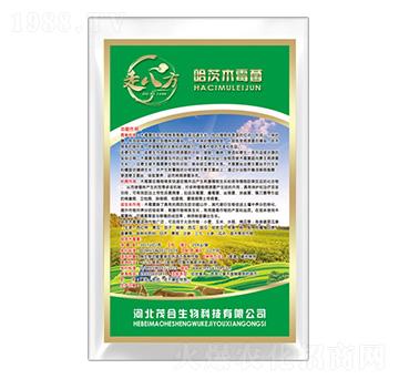 ����ľù��-�߰˷�-ï������