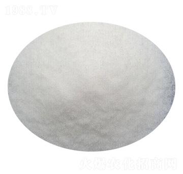 �����13-0-46-����˹