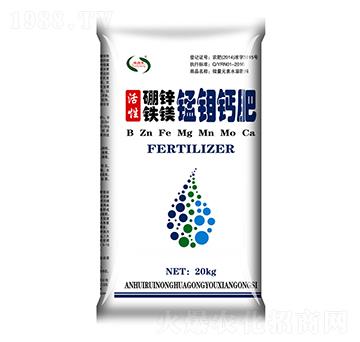 ���\�F�V�i�f�}��-���r����