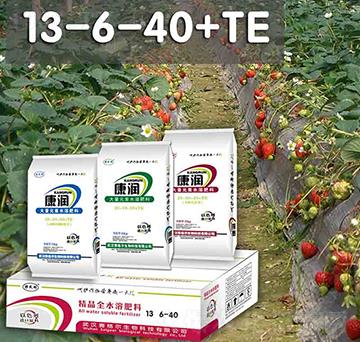 ��������Ԫ��ˮ�ܷ�13-6-40+TE-ِ��