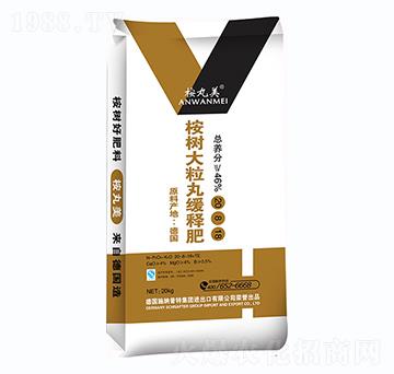 �������辏ጷ�-������-�����r