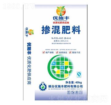 �������28-6-6-��(y��u)ʩ�S