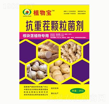 ���ز��w������-��������