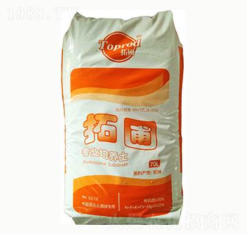 �߲˟o(w��)��������(zhu��n)��-����-���ȶ�