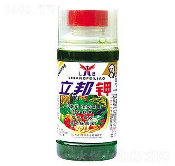 �����-��������