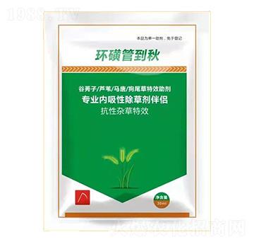 �h(hu��n)�ǹܵ���-��֮�