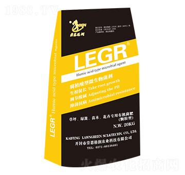 LEGR-�w�����ЙC����-�ڶ���