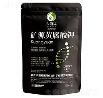 �VԴ�S�����-������