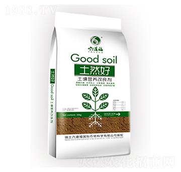 �����I�B(y��ng)������-��Ȼ��