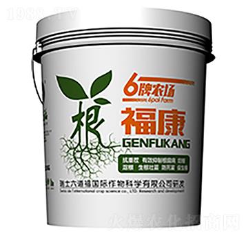 ������-������