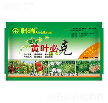 �S�~�ؿ�-�����