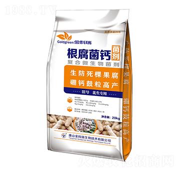 �������}3̖(h��o)-�����