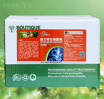 �������������-�|������