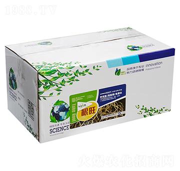 �����B(y��ng)����-����-�|������