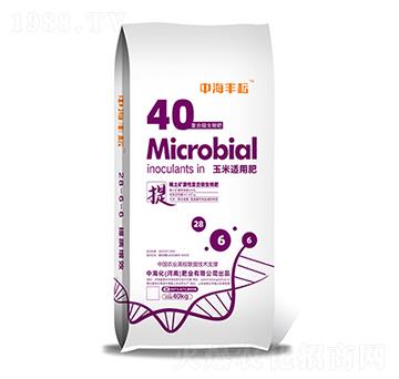 �����m�÷�-�к��S��-�к����ʘI(y��)