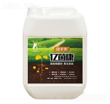 ΢�������-�|����-�~