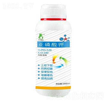 �������-���r(n��ng)�W��