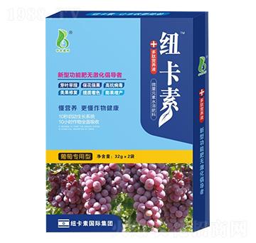 ���ь����Ͷ��ĠI�B(y��ng)Һ-�~����-���r�W��