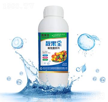 ֲ���Ǵ��}-�n����-�P���m-���r�м�