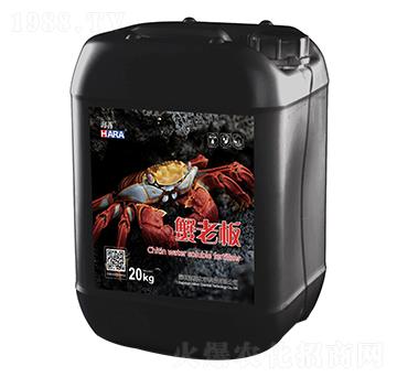 з�ϰ�-����