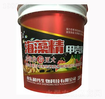 ���徫�ך���-�S���`-��������