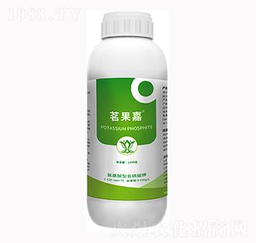 ������-���_(d��)