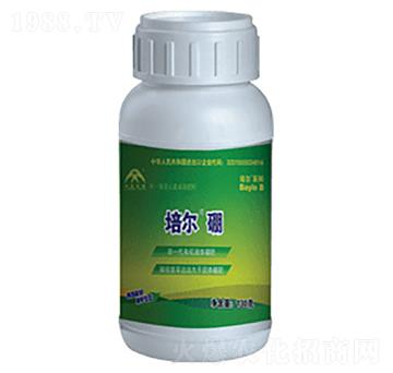 �ࠖ���w��-���r����