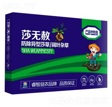 ɯ�o��-������r(n��ng)