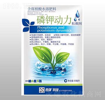 ��⛄���-ِ��r��