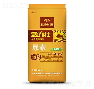 �����Ѻ��S��������-���B��