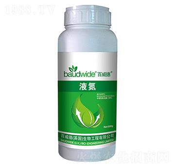 Һ��-������