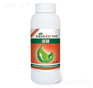 Һ��-������