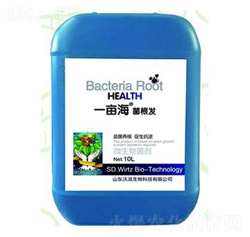 ΢�������-һ���������l(f��)-��������