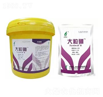 ������-�G���r(n��ng)�I(y��)