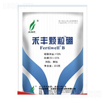 ���S�w����-�G���r�I(y��)