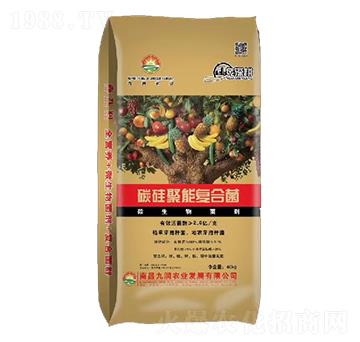 ̼����܏�(f��)�Ͼ�-�ŝ�(r��n)�r(n��ng)�I(y��)