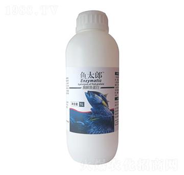 ø���~(y��)����-�~(y��)̫��-������