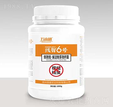 ���Y���x����-����6̖-��ķ������