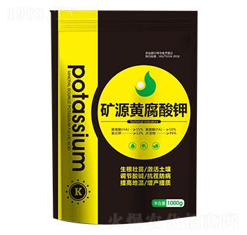 �VԴ�S�����-��������