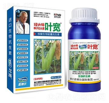 ���׌����~���-��������ø�T����-�~��-ʥ��������