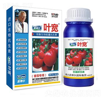 ���ь��Ì����~���-��������ø�T����-�~��-ʥ��������