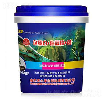 �~(y��)����+���徫+��-�����S���B(t��i)