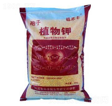 ֲ���-����S-��˹��